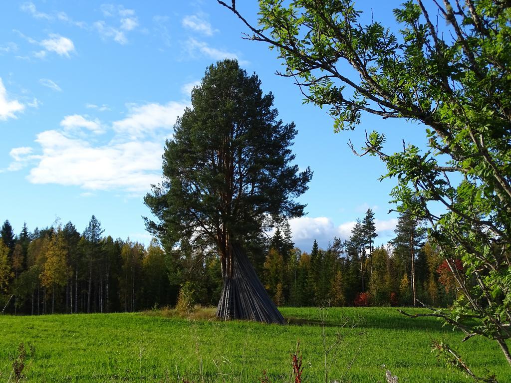 Viking Trails Outdoor & Accommodations Rättvik Exterior foto
